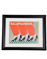 Framed Print Of Salamander By Ernst Deutsch