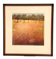 Framed Landscape Print