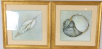 Pair of Framed Urchin Prints